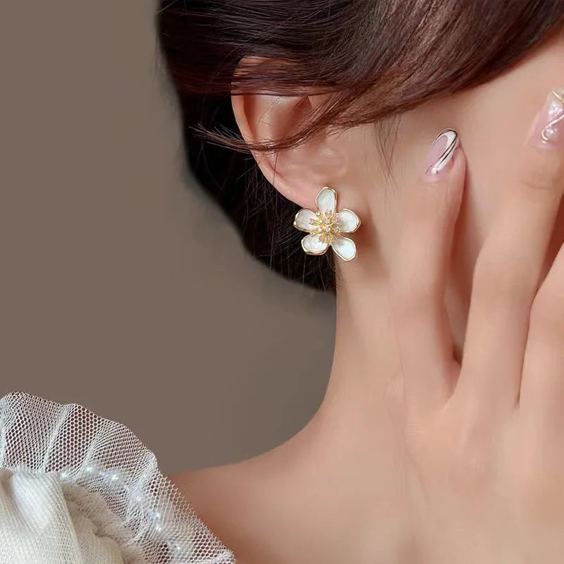 Korean Style Zircon Earrings