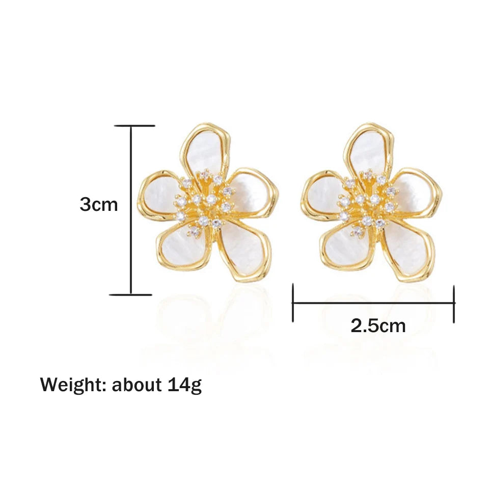 Korean Style Zircon Earrings